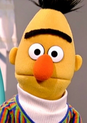 Bert thumbnail